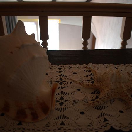 Apartman Marko ตรีบูนย์ ภายนอก รูปภาพ