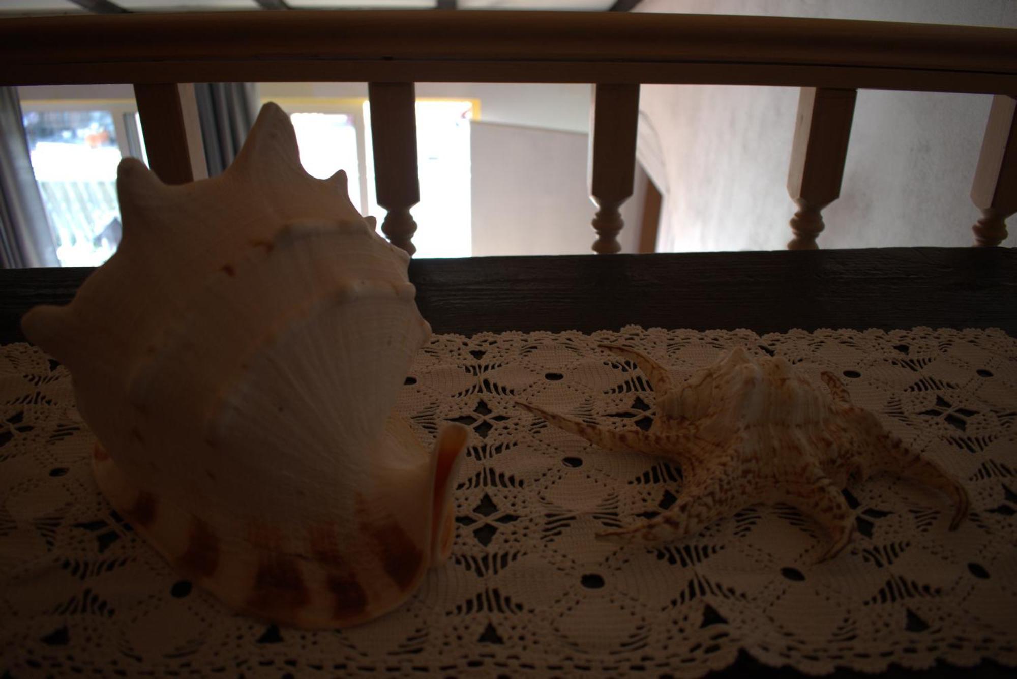Apartman Marko ตรีบูนย์ ภายนอก รูปภาพ